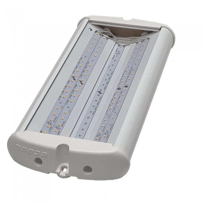 ЭКОЭЛ-ЛУЧ-40.3К+BR.Д.IP54-340.ПКП.ЭК.ФИТО