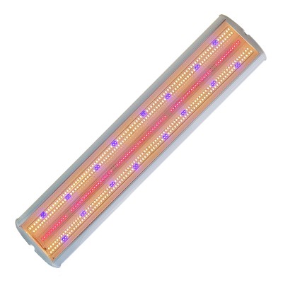 ЭКОЭЛ-ЛУЧ-120.3К+BR.Д.IP54-1070.ПКП.ЭК.ФИТО ЭКОЭЛ-ЛУЧ-120.3К+BR.Д.IP54-1070.ПКП.ЭК.ФИТО