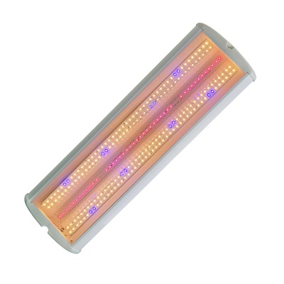 ЭКОЭЛ-ЛУЧ-60.3К+BR.Д.IP54-600.ПКП.ЭК.ФИТО ЭКОЭЛ-ЛУЧ-60.3К+BR.Д.IP54-600.ПКП.ЭК.ФИТО
