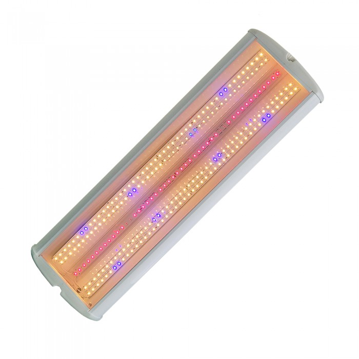 ЭКОЭЛ-ЛУЧ-60.3К+BR.Д.IP54-600.ПКП.ЭК.ФИТО